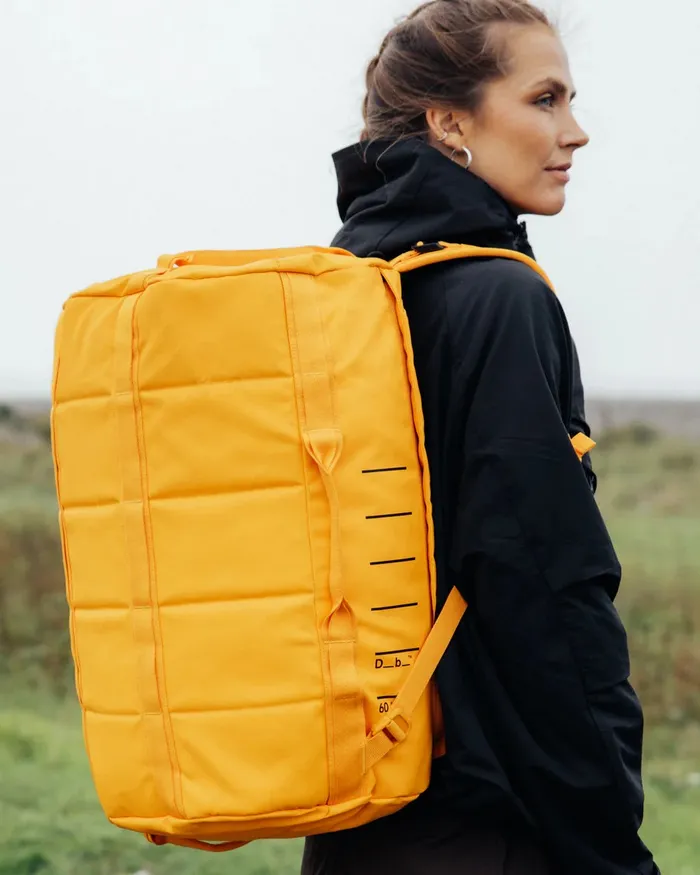 this scandinavian luggage