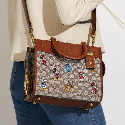 coach disney collab