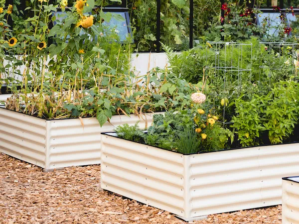 gardening upgrade that