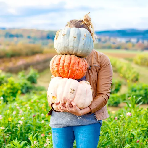 here ultimate fall
